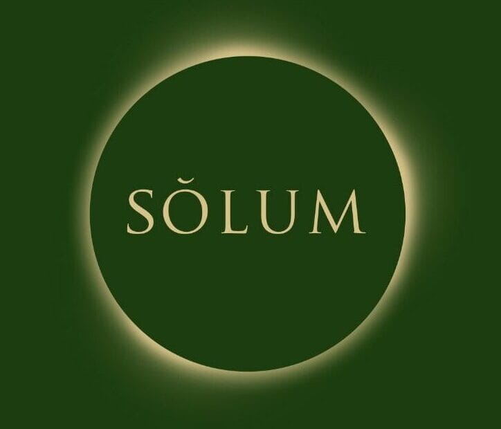 logo solum roma vinile estivo