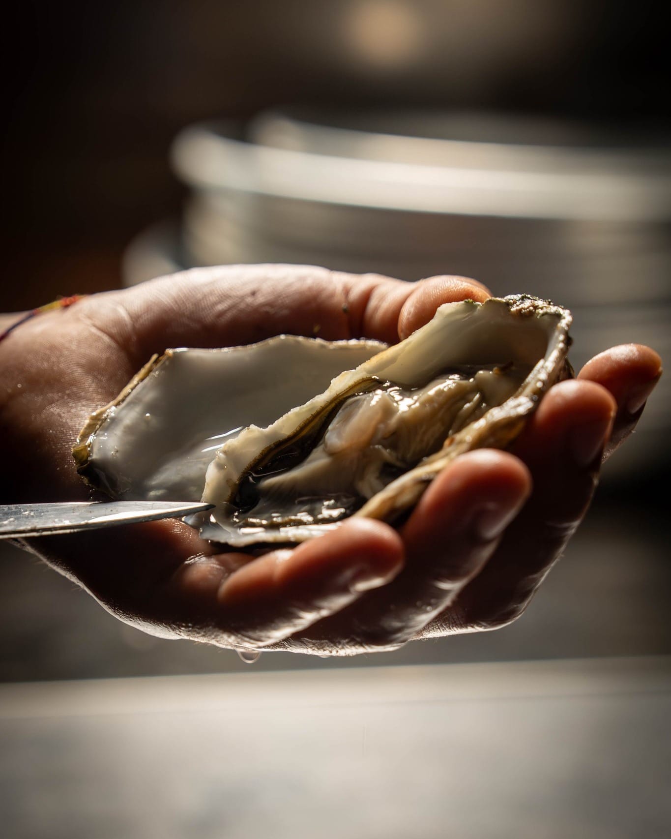 Selezione di crudi e ostriche fresche La Vi