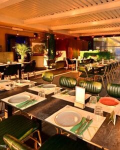 riva marconi interni 02