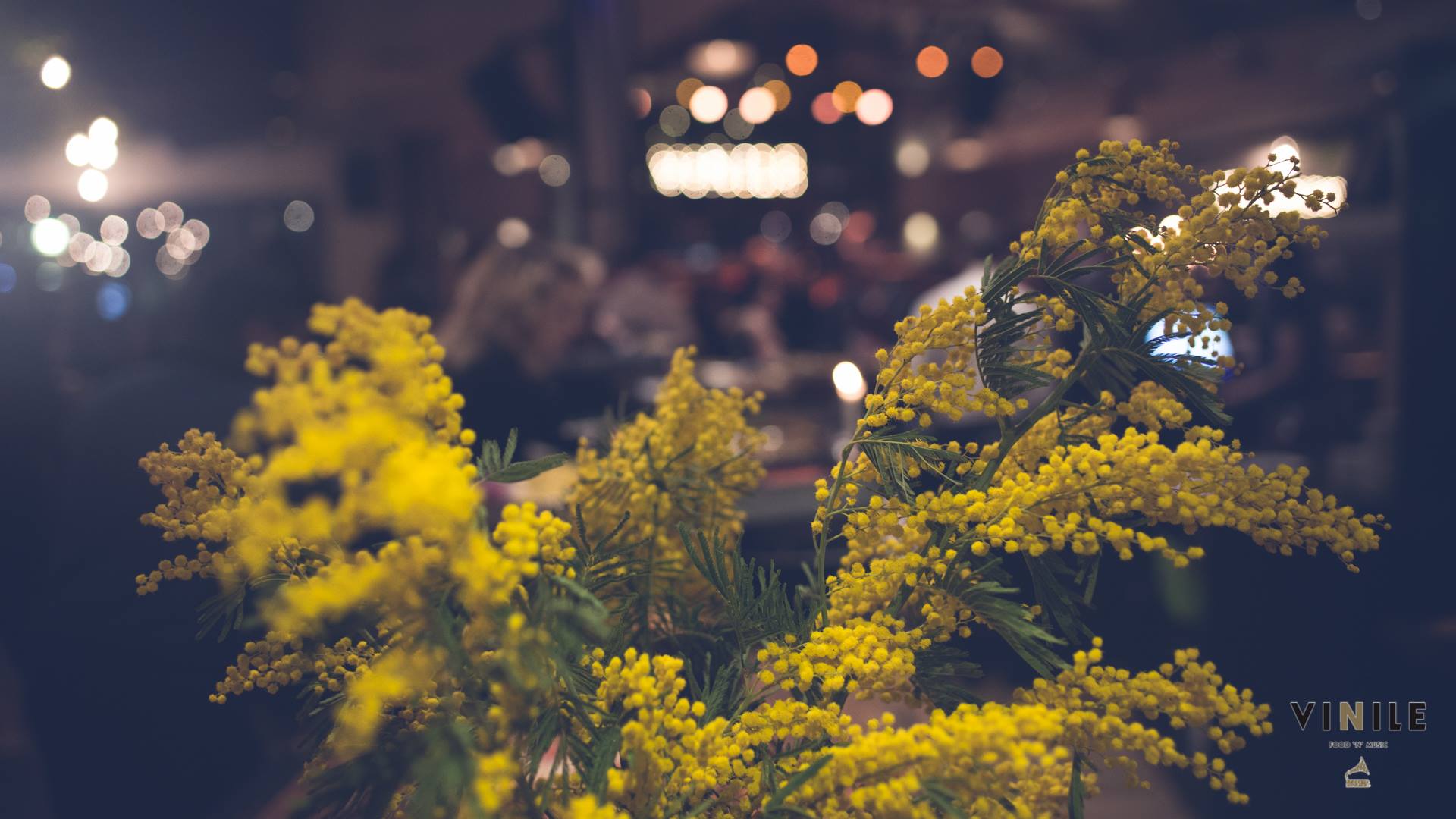 Domenica 8 Marzo 2026 Vinile Roma